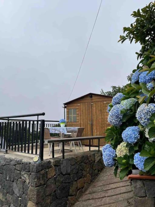 Апартаменты La Casita De La Pared Санта-Крус-де-Тенерифе Экстерьер фото