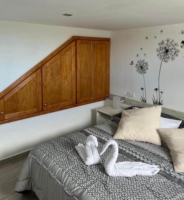 Апартаменты La Casita De La Pared Санта-Крус-де-Тенерифе Экстерьер фото